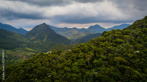 Waterfall in the Atlantic Forest  one of the most biodiverse biomes in the world  which has been reduced to 12  of its original extent in Brazil.