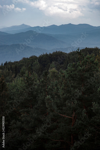 Plakat Bieszczady