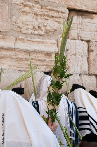 Closeup of a lulav, a palm frond wrapped with willow and myrtle branches and used for the ritual observance of the Jewish holiday festival of Sukkot.