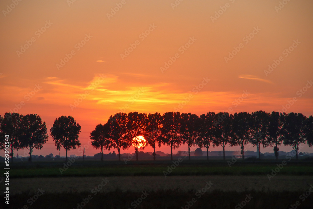 Sunset with sun between the trees in orange sky at Hazerswoude