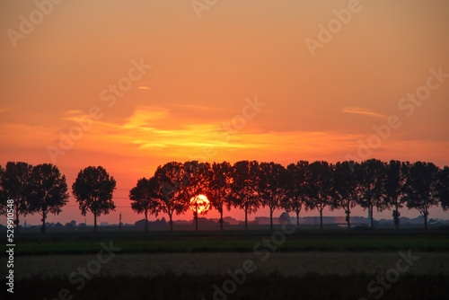 Sunset with sun between the trees in orange sky at Hazerswoude