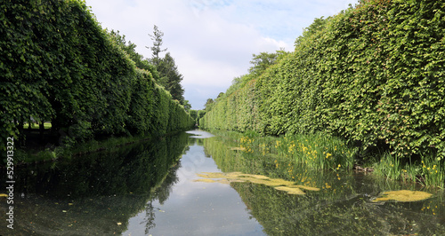 Perspective of the pond in the Oliwa Park in Poland