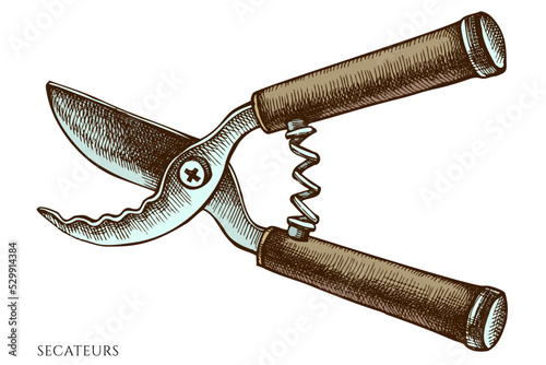 Gardening hand drawn vector illustrations collection. Colored secateurs.