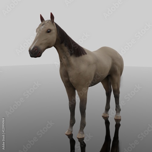 computer rendered illustration of a horse © westwindgraphics