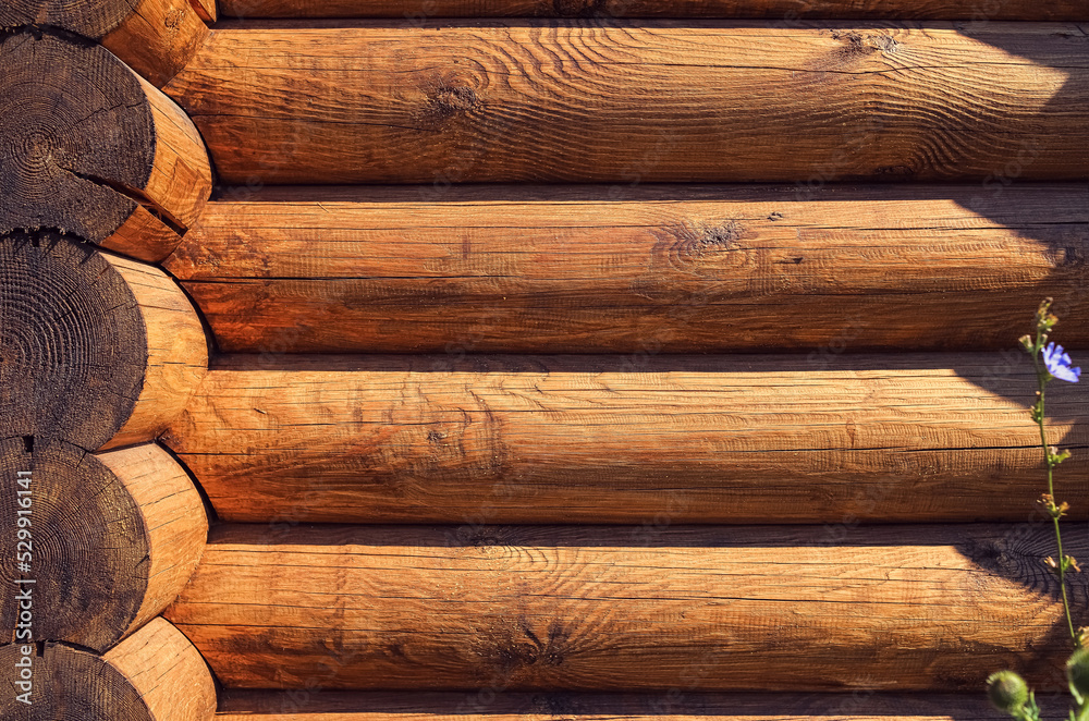 A log wall construction with a swedish cope log profile. Wooden wall of a blockhouse as a background A log wall construction with a swedish cope log profile. Wooden wall of a blockhouse as a background