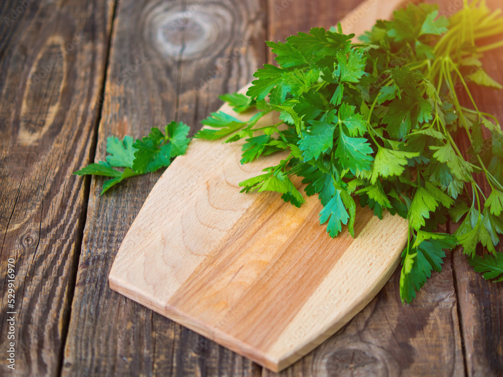 Fresh italian parsley on a wooden table. parsley. Fresh italian parsley on a wooden table. parsley.