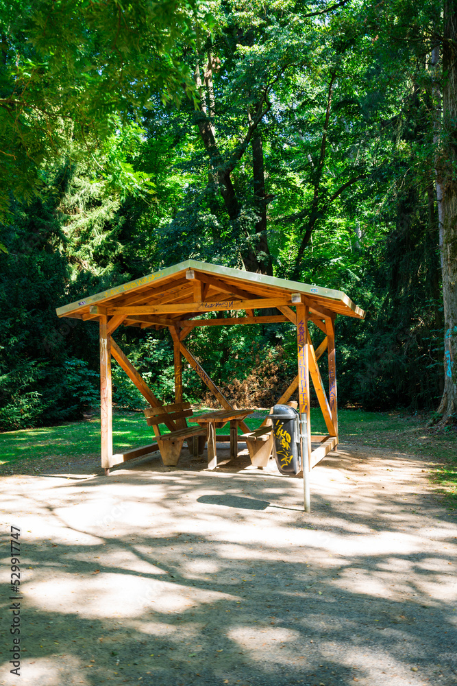 Wooden gazebo structure in forest. Empty Bench On Field By Trees Wooden gazebo structure in forest. Empty Bench On Field By Trees