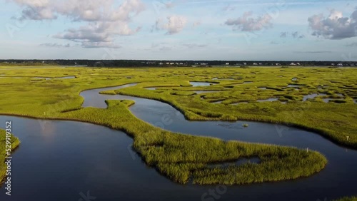 Carolina Salt Marsh