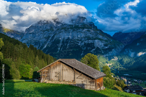 Mountain Hut in Grindelwald