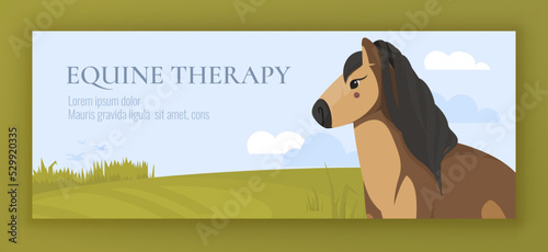 Vector horizontal banner with one cute horse in the field. Equine therapy. Riding for amateurs. Farm concept. Cute animal close-up on green meadow background with fresh bright grass. Flyer art design.