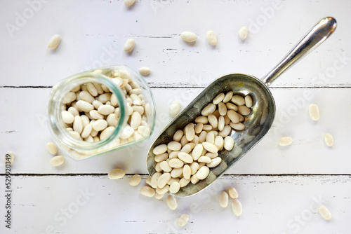 porotos blancos