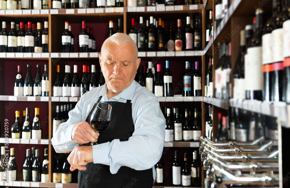 senior man professional sommelier tasting red wines in wine store