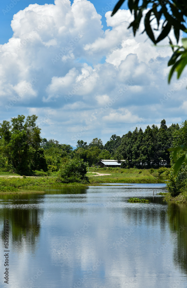 Rural running river with green grass river banks and trees. Rural running river with green grass river banks and trees.