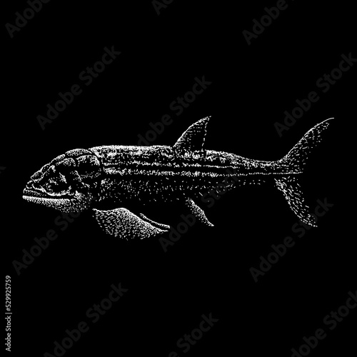 Leedsichthys hand drawing vector illustration isolated on black background