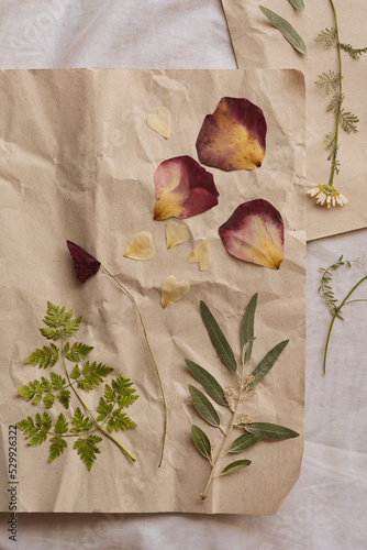 Sheets of paper with dried flowers and leaves on white fabric, flat lay