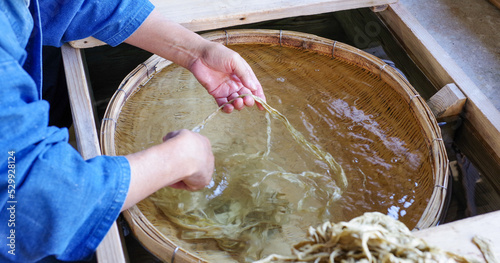 日本の福井県の伝統工芸の越前和紙の原料