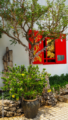 Photography Wishing tree in front of red window in Chinese temple near Kuala Lumpur