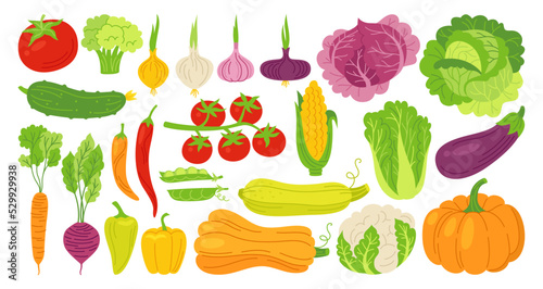 Vegetables drawn cartoon style set. Healthy diet food farm product veggies collection. Farming harvest cauliflower, tomato broccoli, cucumber, pepper carrot garlic, salad. Cooking ingredients vector