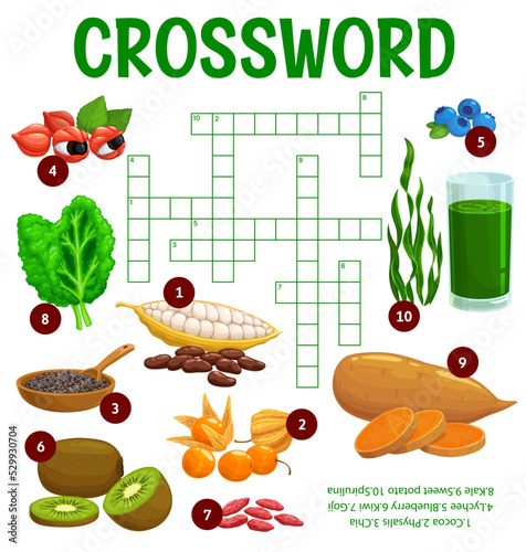 Natural superfoods crossword worksheet, find word quiz game, vector puzzle. Crossword riddle to guess word of super food cocoa, physalis fruit, chia seeds and lychee with kiwi and goji berries