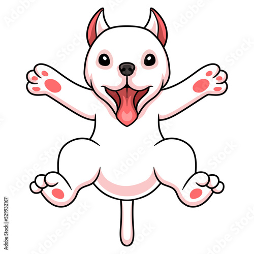 Cute dogo argentino dog cartoon