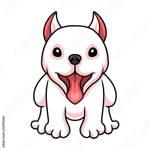 Cute dogo argentino dog cartoon photo