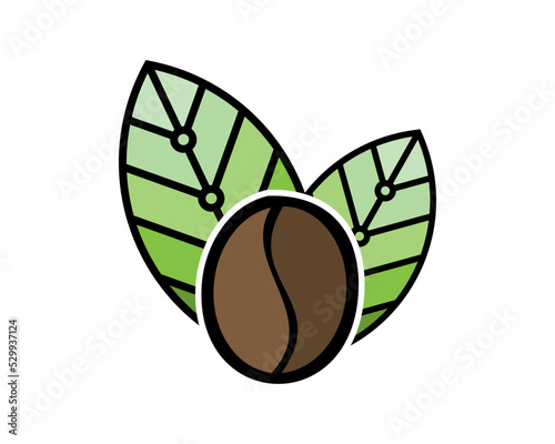 Leaf with coffee bean inside