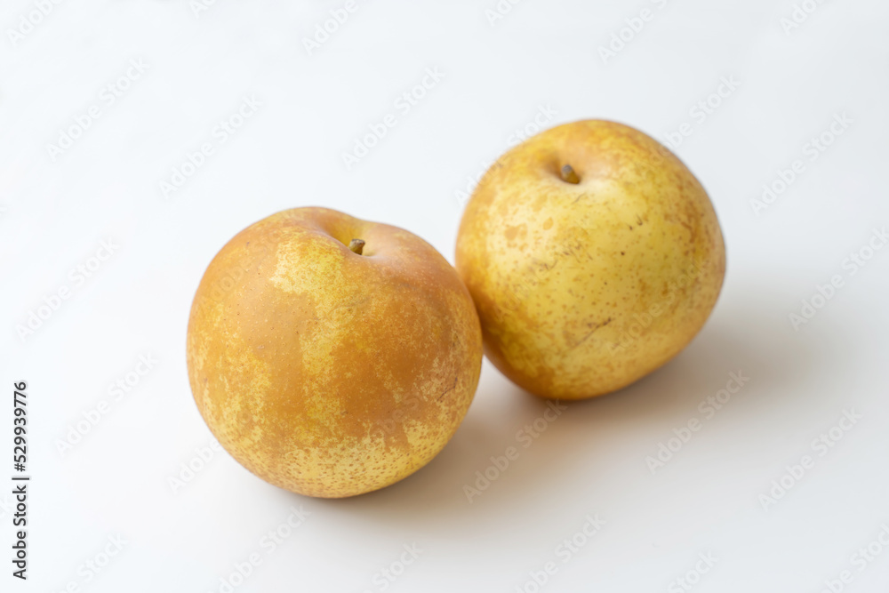 秋麗梨 秋麗梨