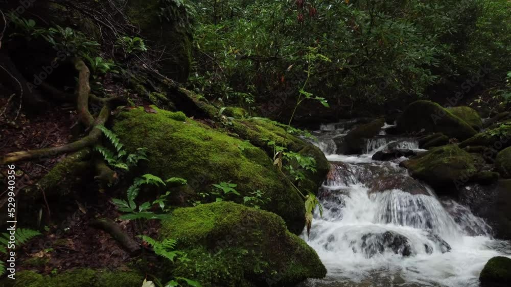 Revealing small waterfall cascade in a stream surrounded by forest in North Carolina's Smoky mountains with moss covered rocks Revealing small waterfall cascade in a stream surrounded by forest in North Carolina's Smoky mountains with moss covered rocks