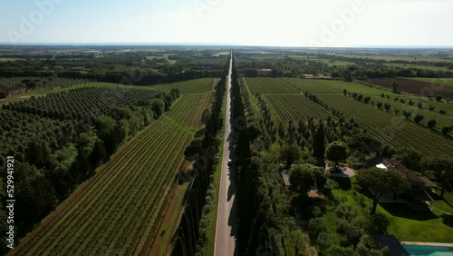 Aerial video of Viale dei Cipressi in Bolgheri, Italy. A four kilometer long road with cypress trees on both sides. The road connects the village of Castagneto Carducci with Bolgheri. Popular spot. photo