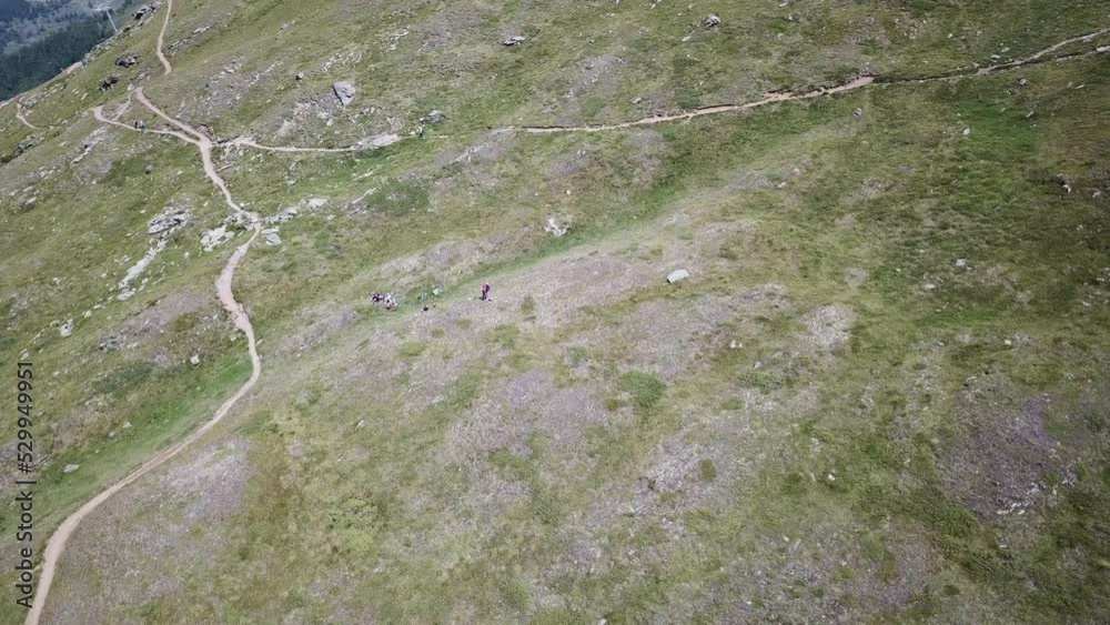 Drone Panning shot: grass fields on a mountain facade in the swiss alps, path for walkers, bikers. Aerial view Drone Panning shot: grass fields on a mountain facade in the swiss alps, path for walkers, bikers. Aerial view