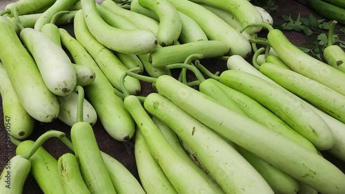 Bottle Gourd For Sale In Market. Collection of Calabash Lagenaria Siceraria Also Known As Bottle Gourd in the Market for Sale. Harvested green vegetable bottle gourd,Lagenaria Siceraria Calabash Gourd photo
