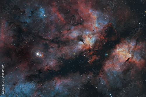 The Gamma Cygni Nebula. Elements of this image were furnished by NASA.