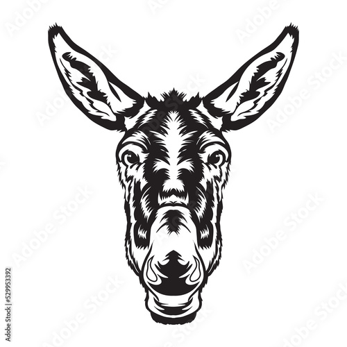Donkey face vector illustration in decorative style, perfect for tshirt design and mascot logo 