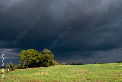 Dunkle Regenwolken ziehen über den Fläming im östlichen Sachsen-Anhalt hinweg, Leitzkau, Sachsen-Anhalt, Deutschland