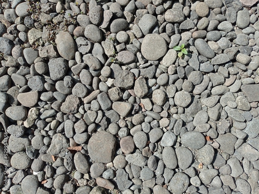 a close-up photo of the pebbles. gray and oval and round a close-up photo of the pebbles. gray and oval and round