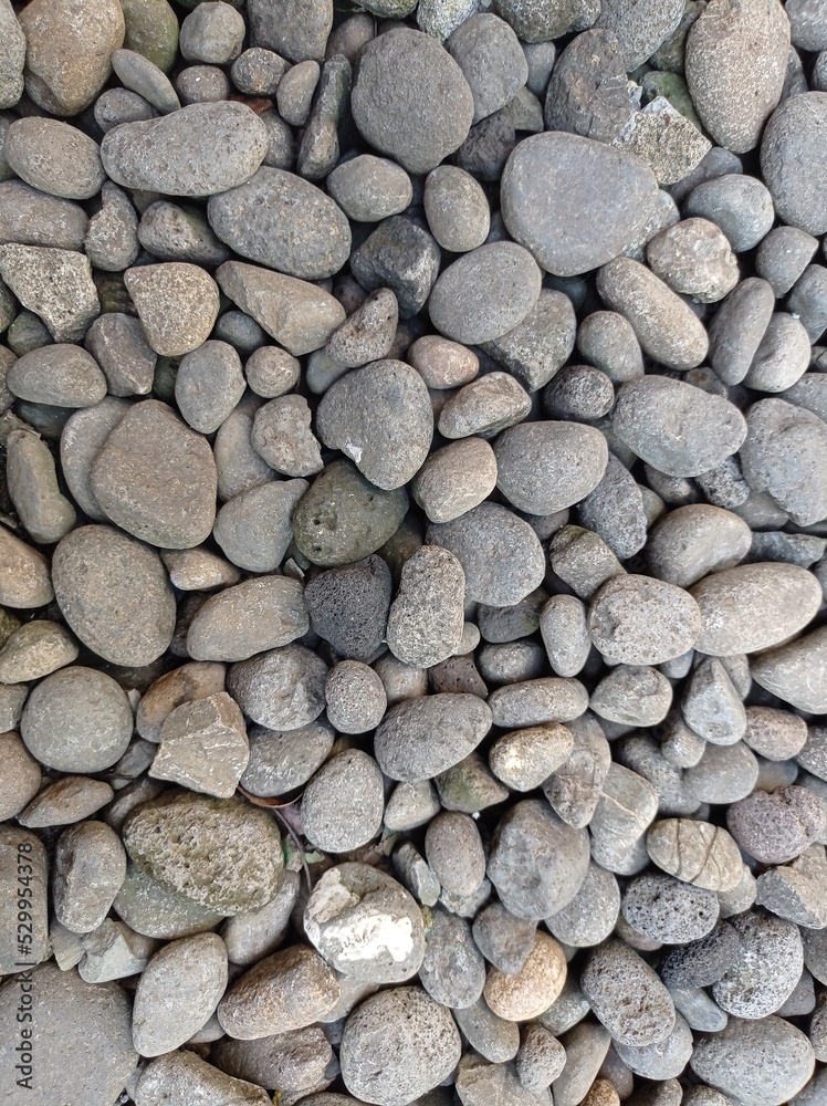 a close-up photo of the pebbles. gray and oval and round a close-up photo of the pebbles. gray and oval and round