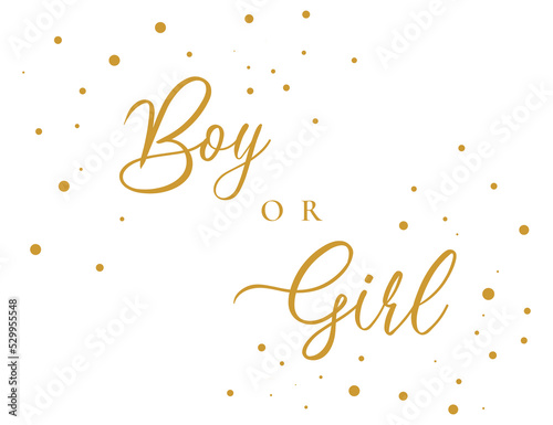 Boy or girl hand drawn modern lettering - Baby shower announcement banner, card - Gender reveal party - Vector illustration isolated