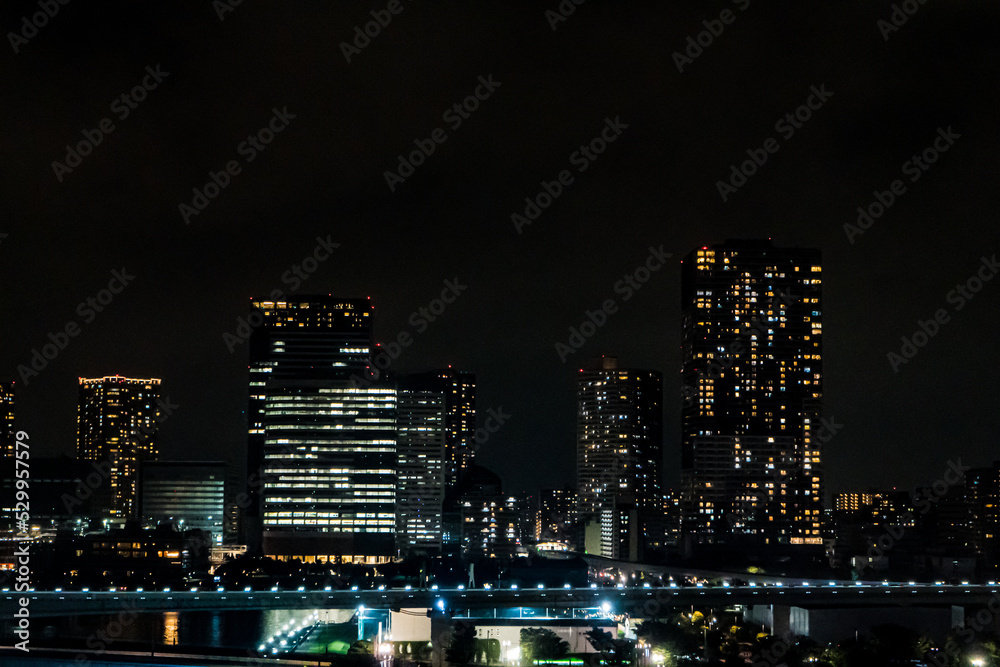 Naklejka premium 東京の豊洲市場付近の夜景