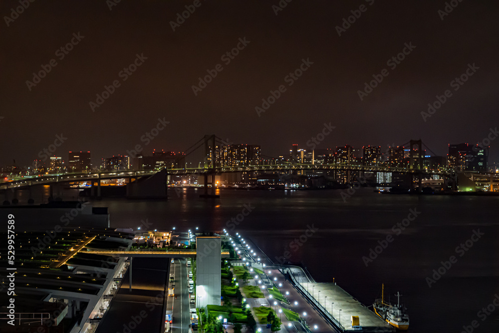 Obraz premium お台場、有明の夜景