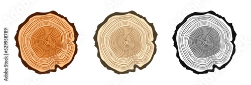Round tree trunk cuts in various colors, sawn pine or oak slices, lumber. Saw cut timber, wood. Brown wooden texture with tree rings. Hand drawn sketch. Vector illustration