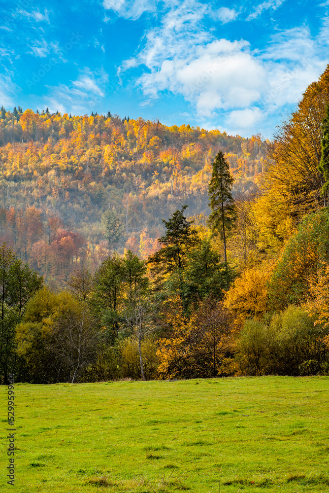 autumn views. Mountain landscape with autumnal trees. The natural beauty of the village . Incredible autumn landscape with yellow. vertical photo. autumn views. Mountain landscape with autumnal trees. The natural beauty of the village . Incredible autumn landscape with yellow. vertical photo.