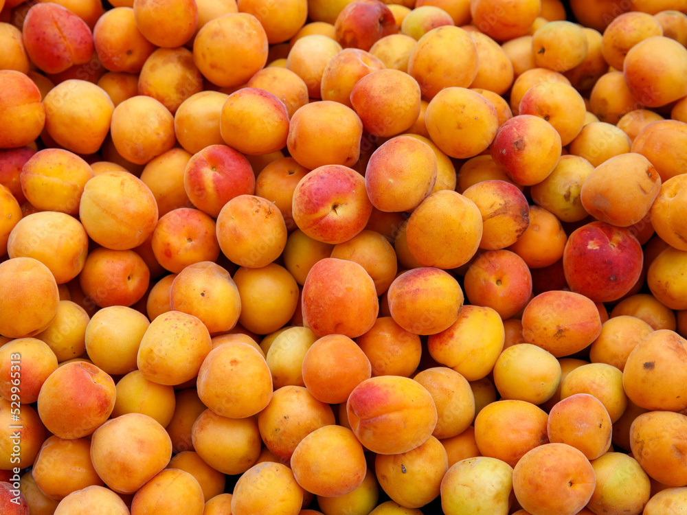 Ripe apricots fruit on a local farmer street fruit vegetables market, ecological food, full frame background