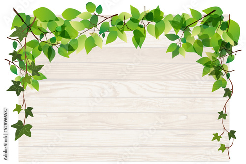 cadre planche de bois et vigne