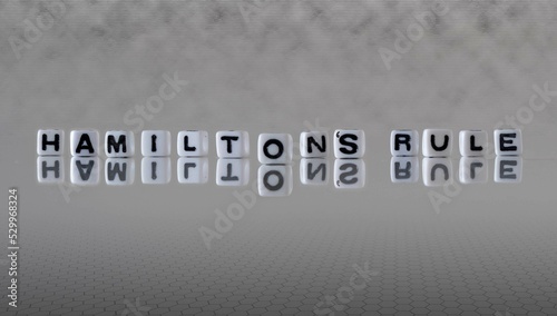 hamilton's rule word or concept represented by black and white letter cubes on a grey horizon background stretching to infinity