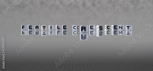 Bilde på lerret fertile crescent word or concept represented by black and white letter cubes on