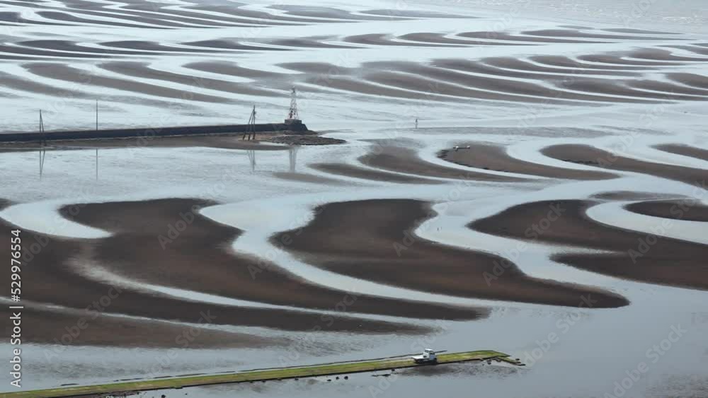 custom made wallpaper toronto digital御輿来海岸の干潟　有明海