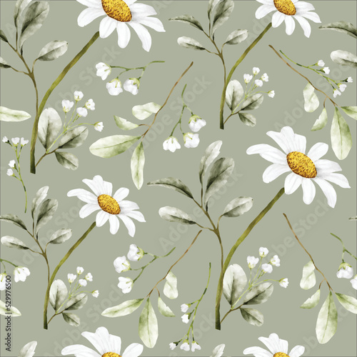 beautiful watercolor daisy flower seamless pattern
