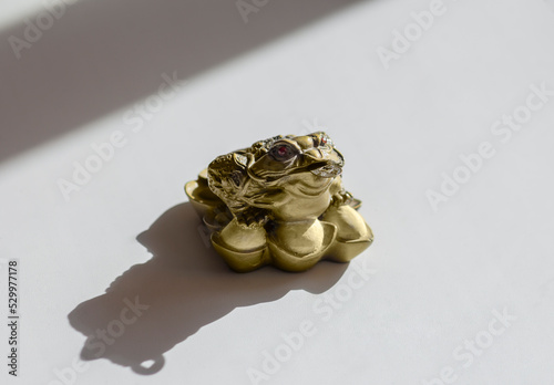 Feng shui frog bringing prosperity to the house, on a white background in sunlight
