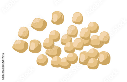 Organic and natural chickpea, food for dieting