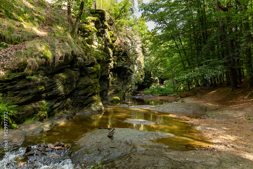 Nature reserve Zidova strouha    idova strouha - in czech  near city Bechyne. Czech republic.